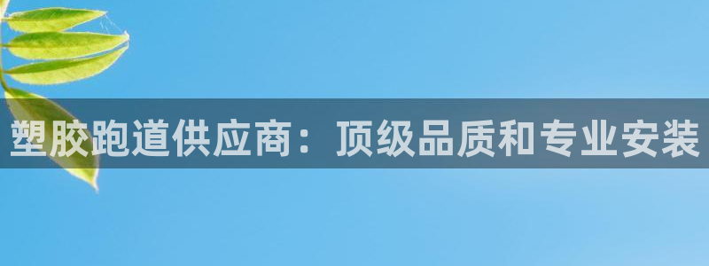 尊龙凯时始人生就是博：塑胶跑道供应商：顶级品质和专业安装