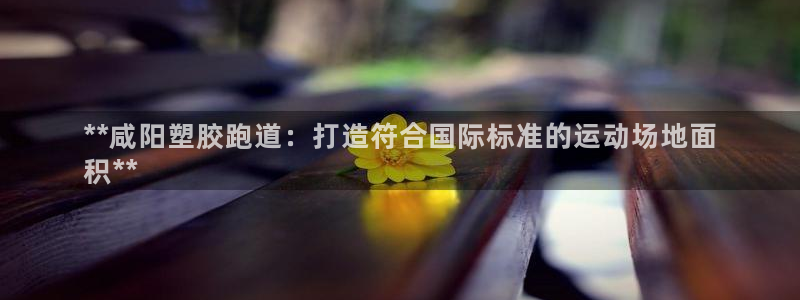 尊龙d88官网登录苹果版下载：**咸阳塑胶跑道：打造